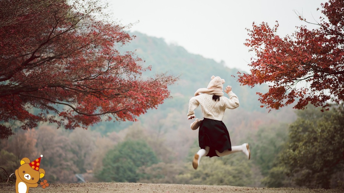 「熊出没」红叶枫了