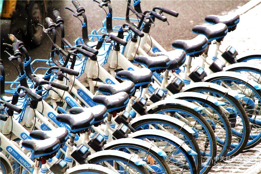 2019.1.9.洛阳印象