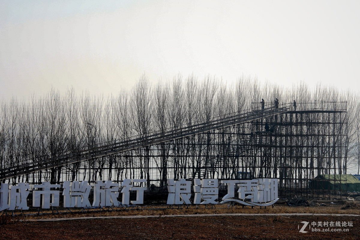 游园 习作 丁香湖 -------2015.12.11日 沈阳 丁香湖第二届冰雪节前的景色随拍分享