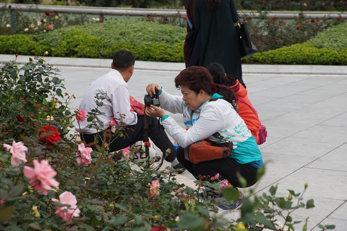 A7+EF24-105STM扫街