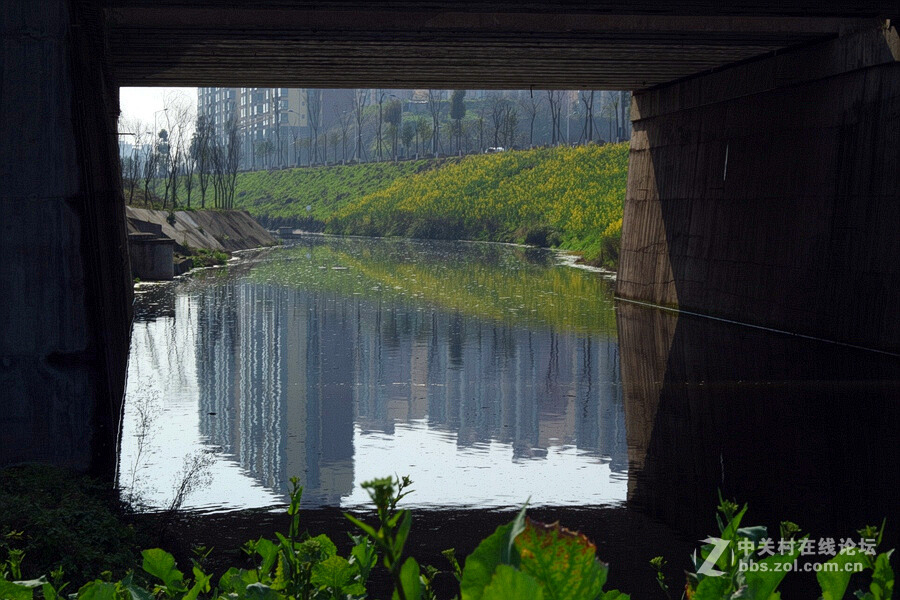 《春暖花开蜜蜂忙》