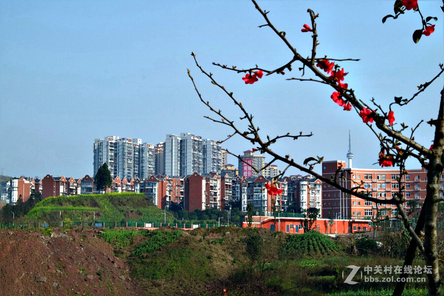 《春暖花开蜜蜂忙》