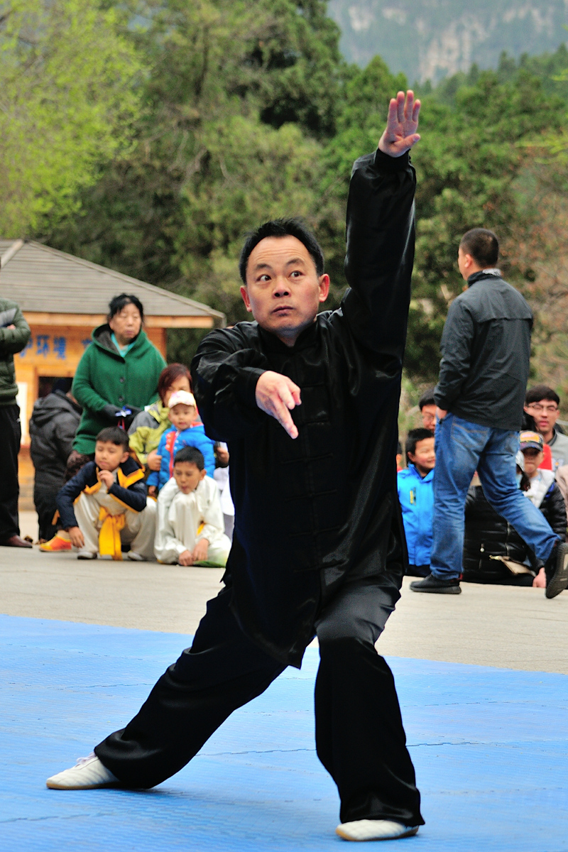【观赏武术比赛，领略国粹中华武术精神】-中关村在线摄影论坛