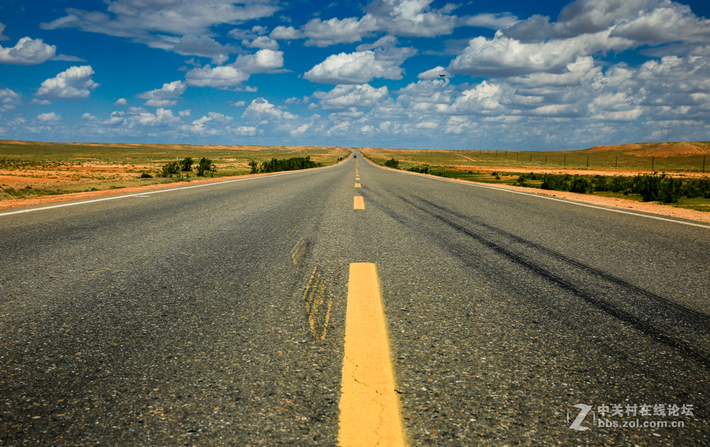 奇台硅化木--国家地质公园及沿途风光