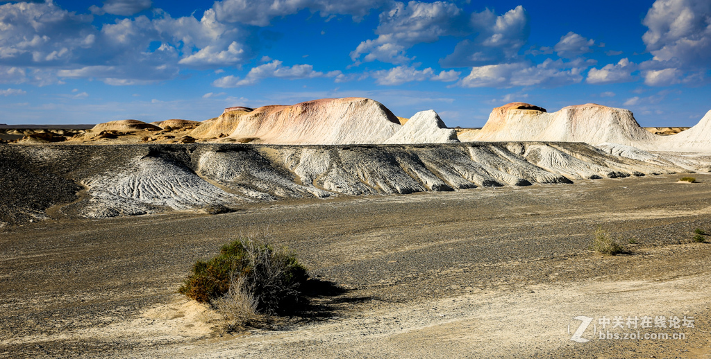 奇台硅化木--国家地质公园及沿途风光