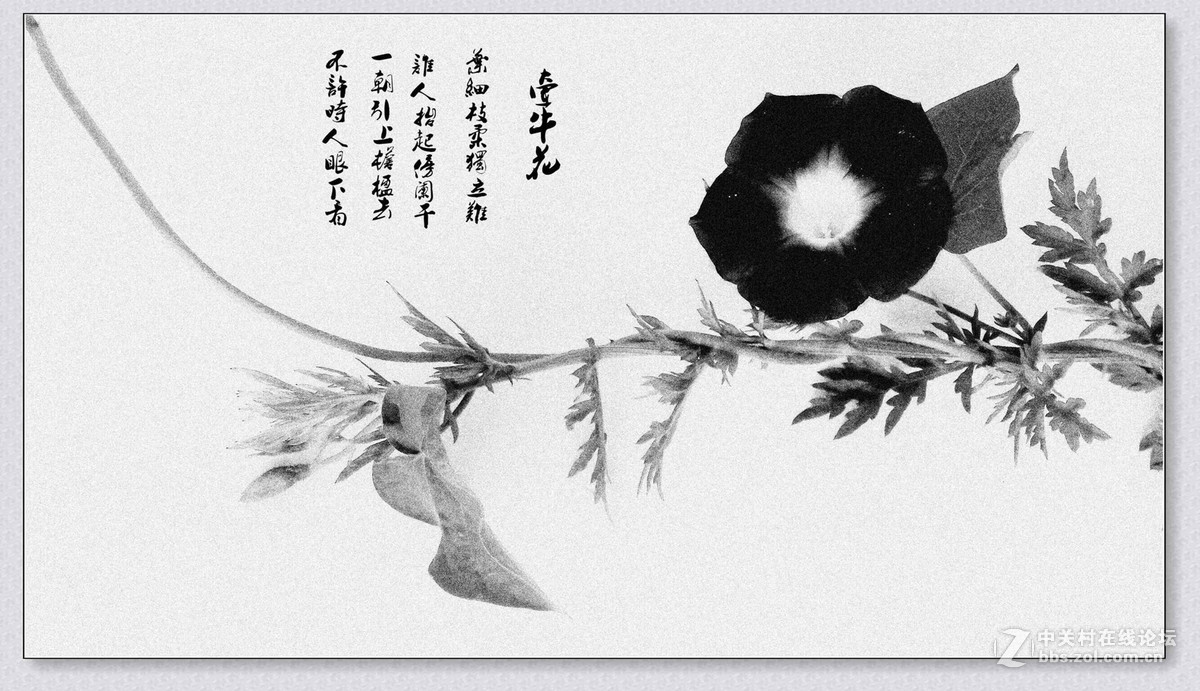 《《哪一种情绪》》