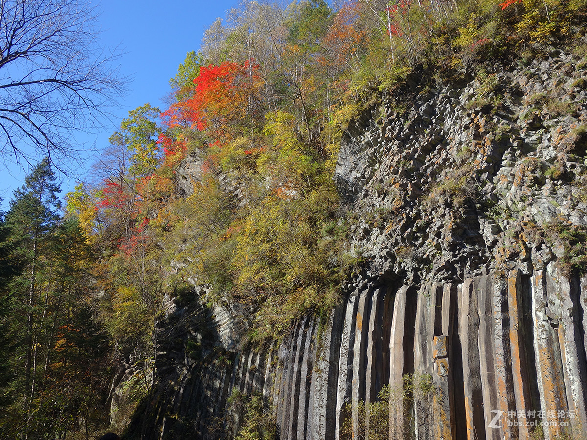 感受东北的秋色（二）