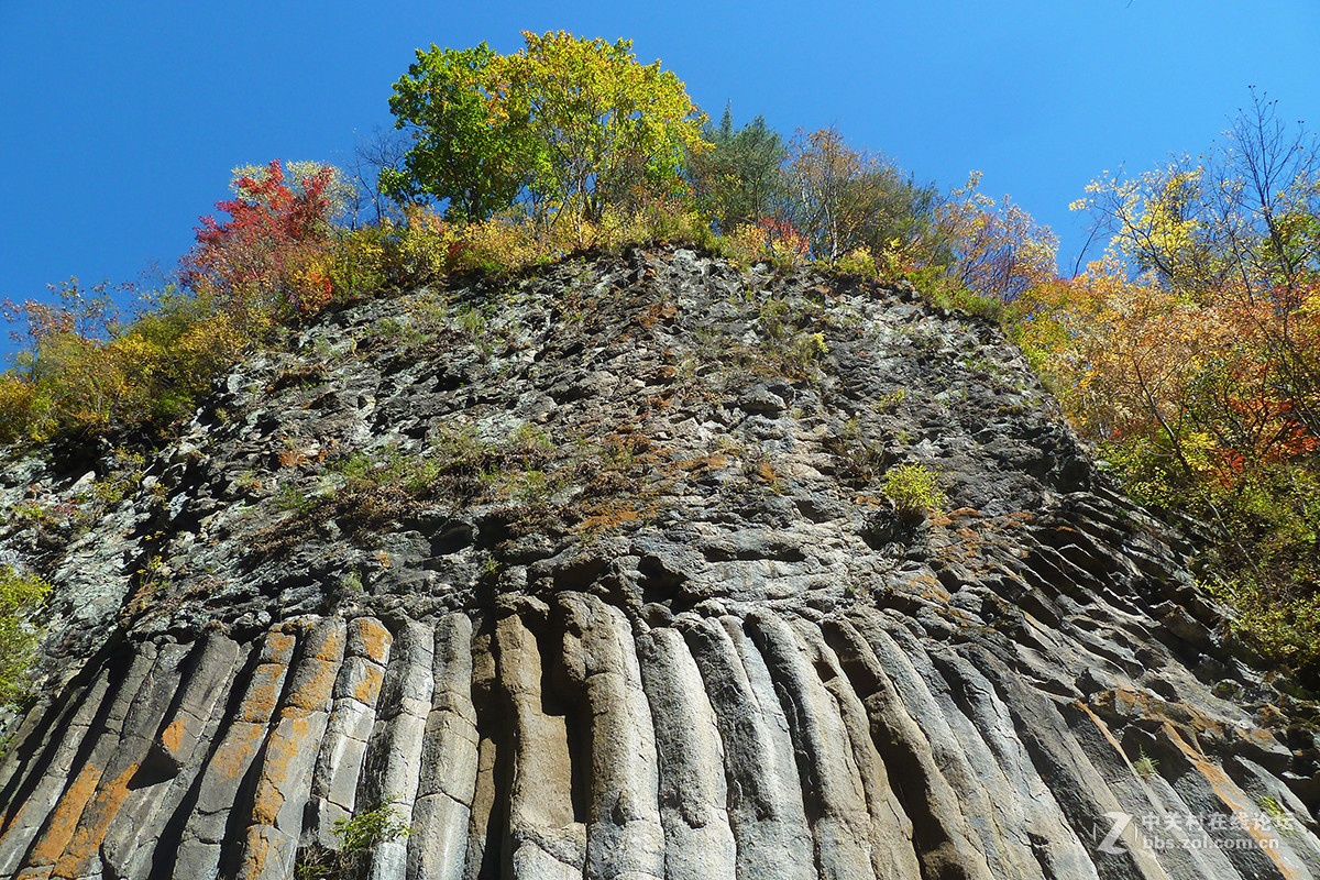 感受东北的秋色（二）