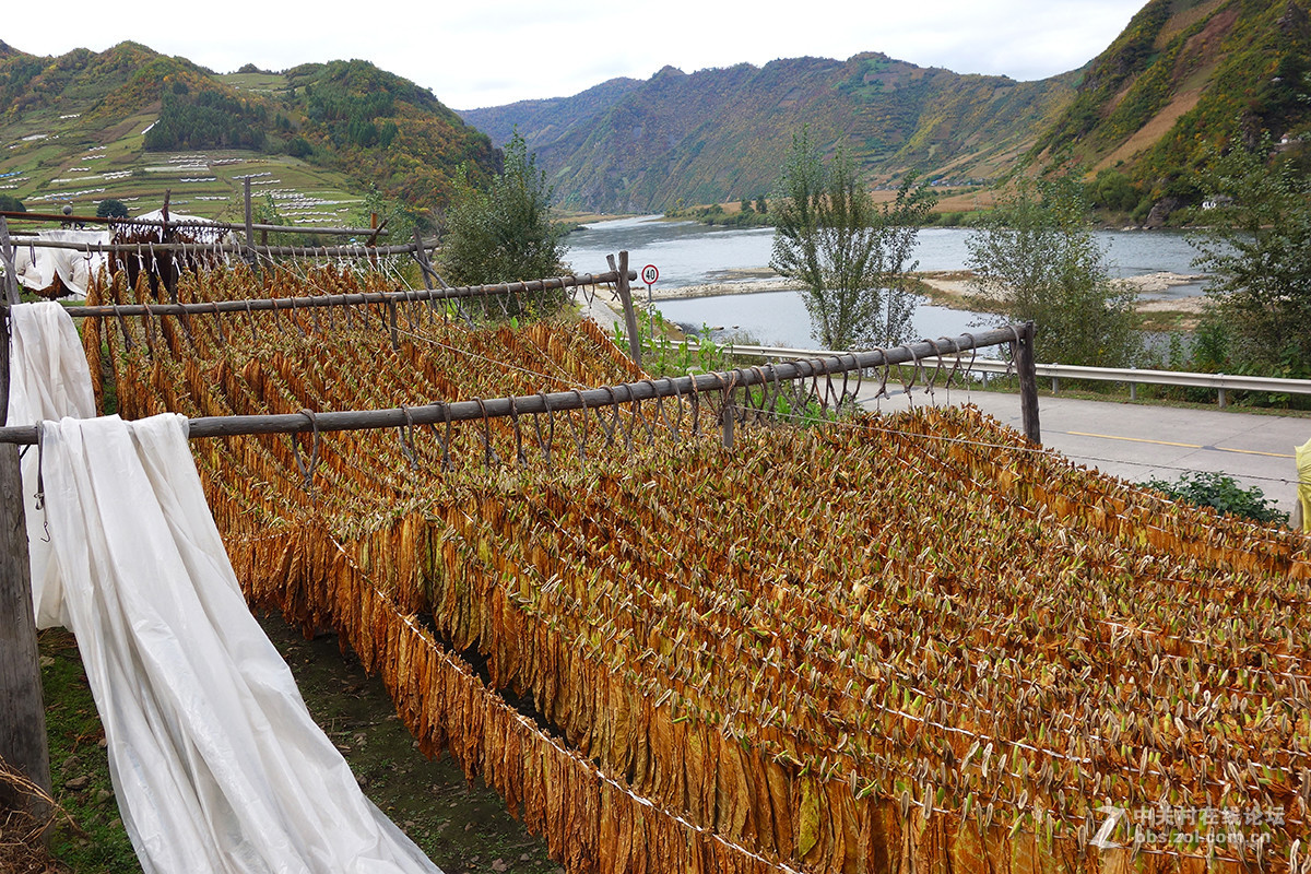 感受东北的秋色（二）