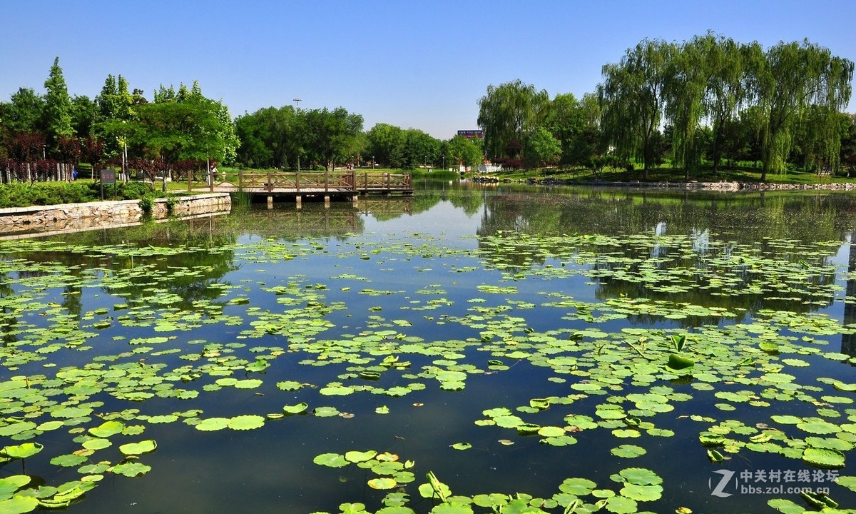 北京望湖公園