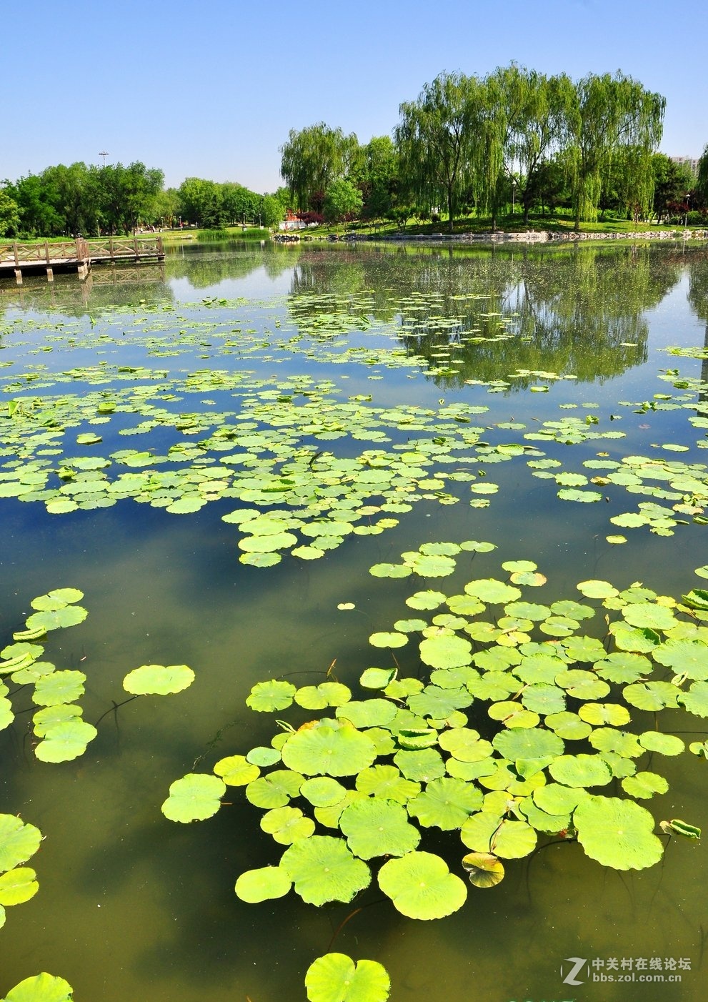 北京望湖公園