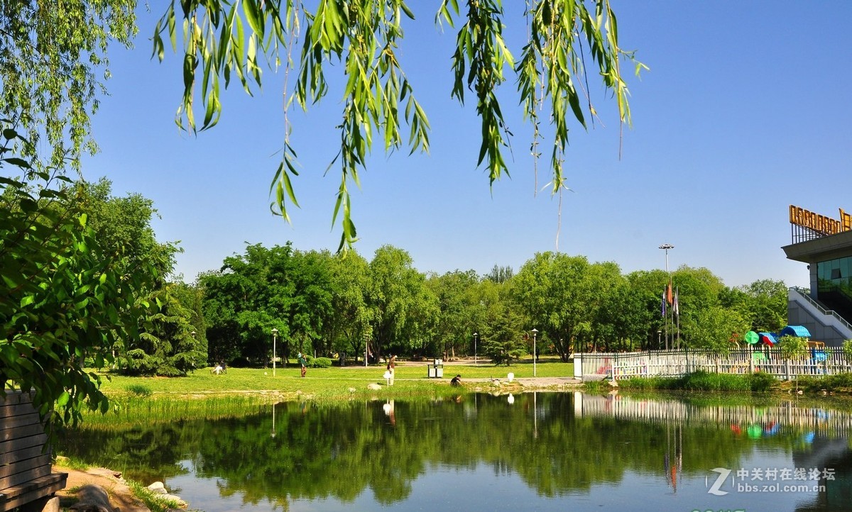 北京望湖公園