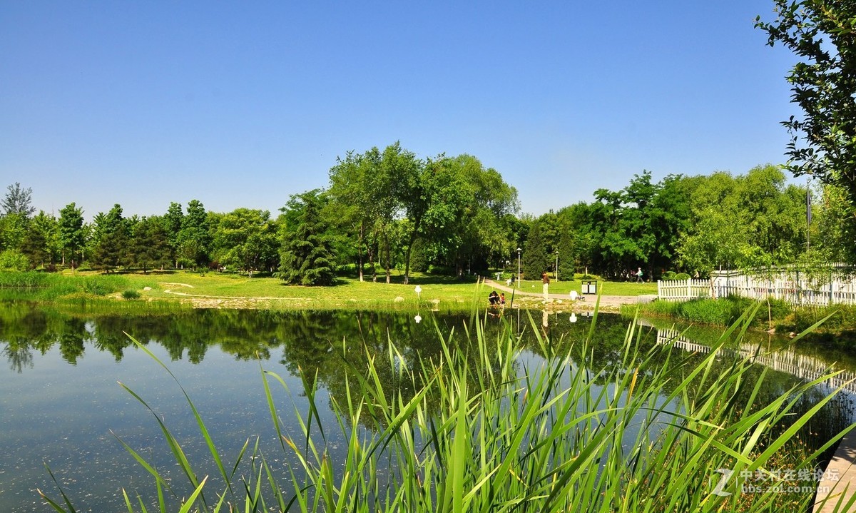 北京望湖公園