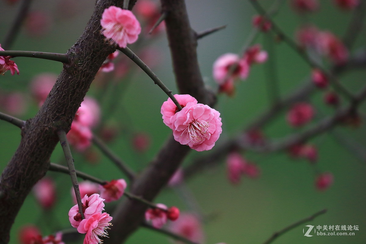 留恋往返的美谢幕前再拍组～～！