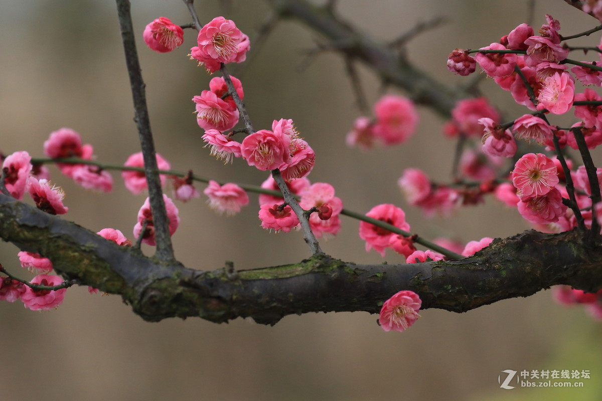 留恋往返的美谢幕前再拍组～～！