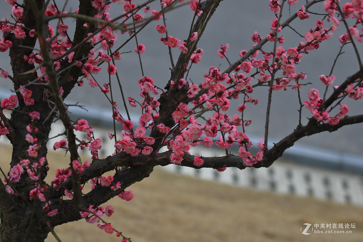 留恋往返的美谢幕前再拍组～～！