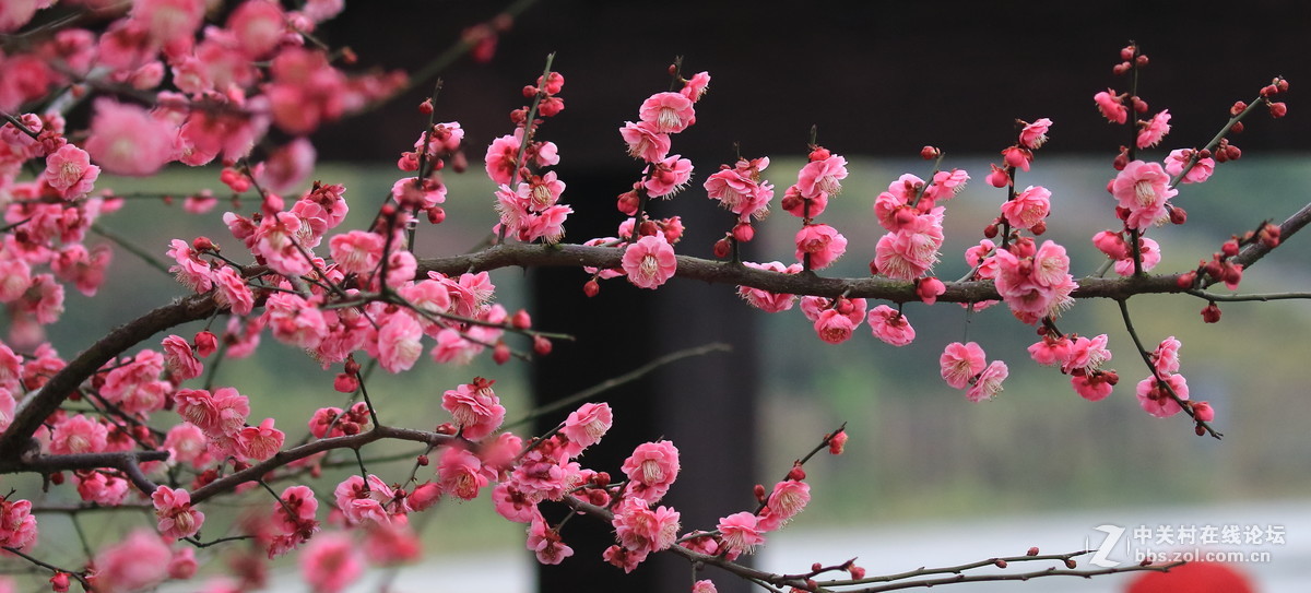 留恋往返的美谢幕前再拍组～～！