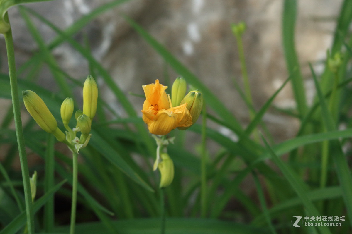 用阳光记录我的成长