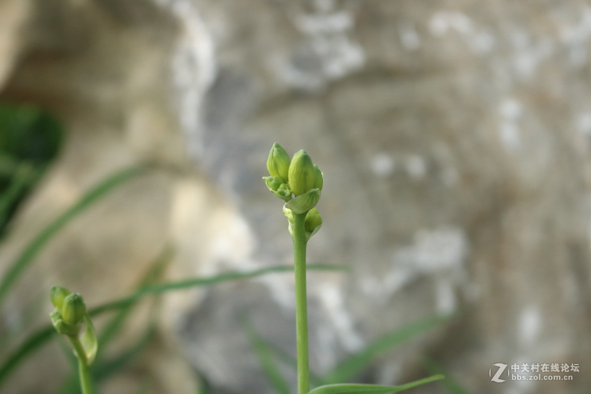 用阳光记录我的成长