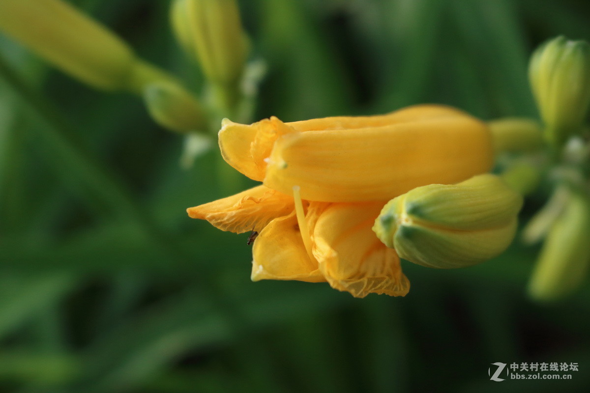 用阳光记录我的成长