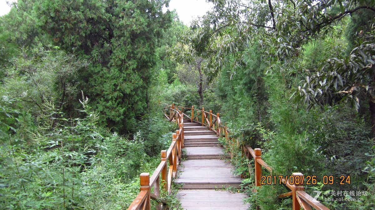 邹城五宝庵山试机