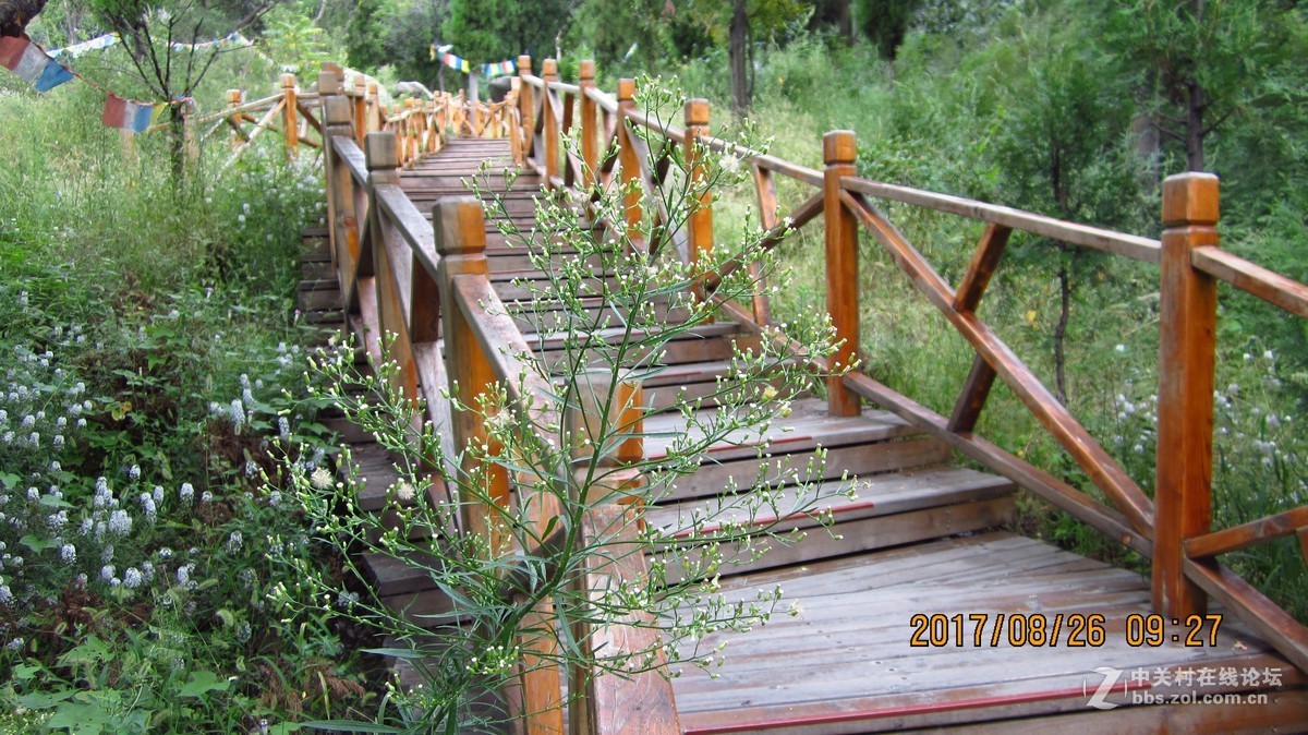 邹城五宝庵山试机