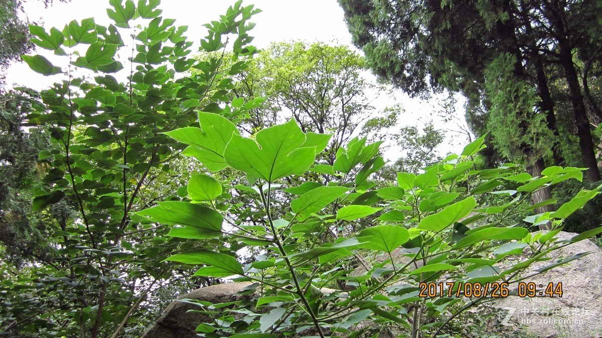 邹城五宝庵山试机