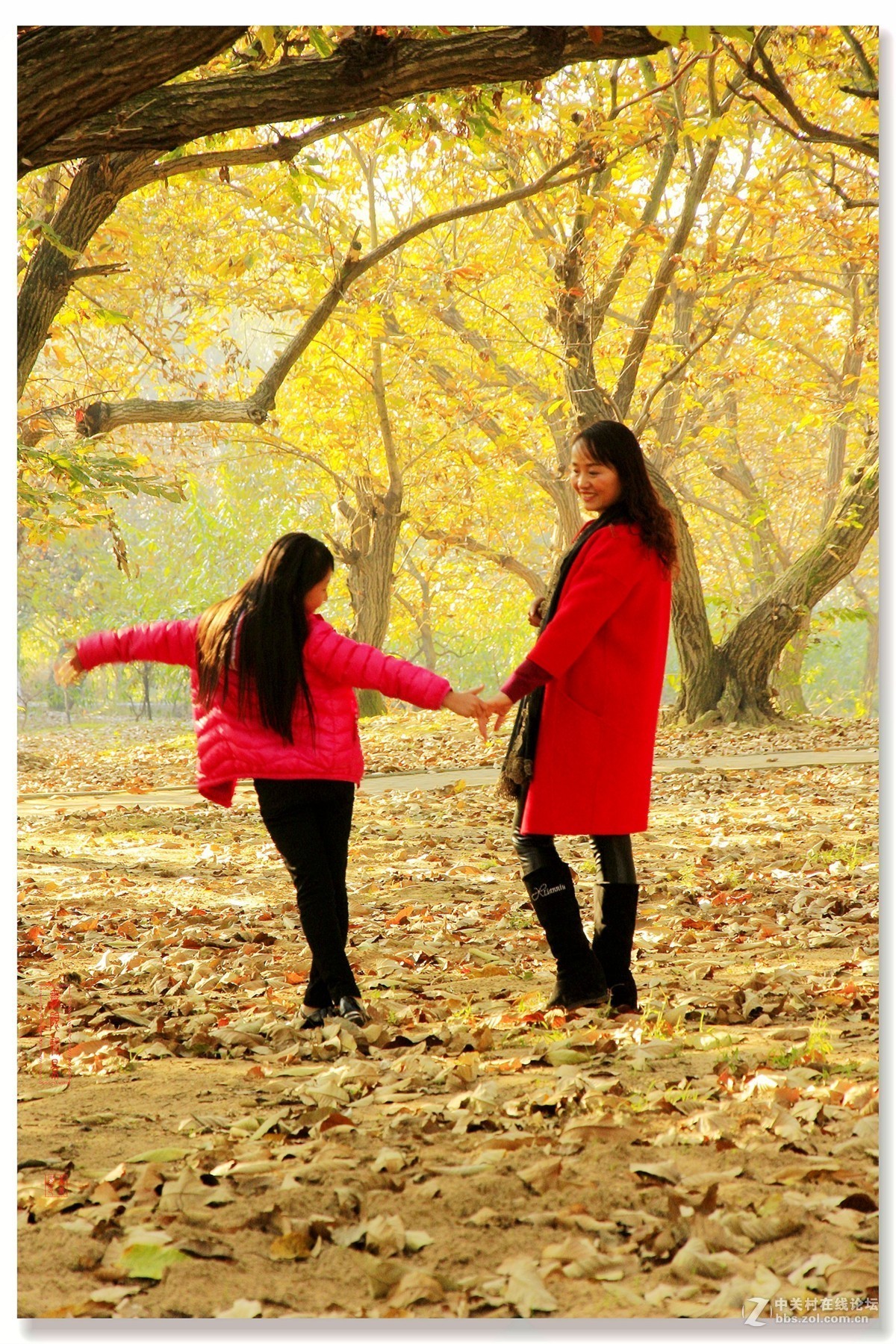 #佳能月赛-一叶知秋#邳州板粟树下母女俩