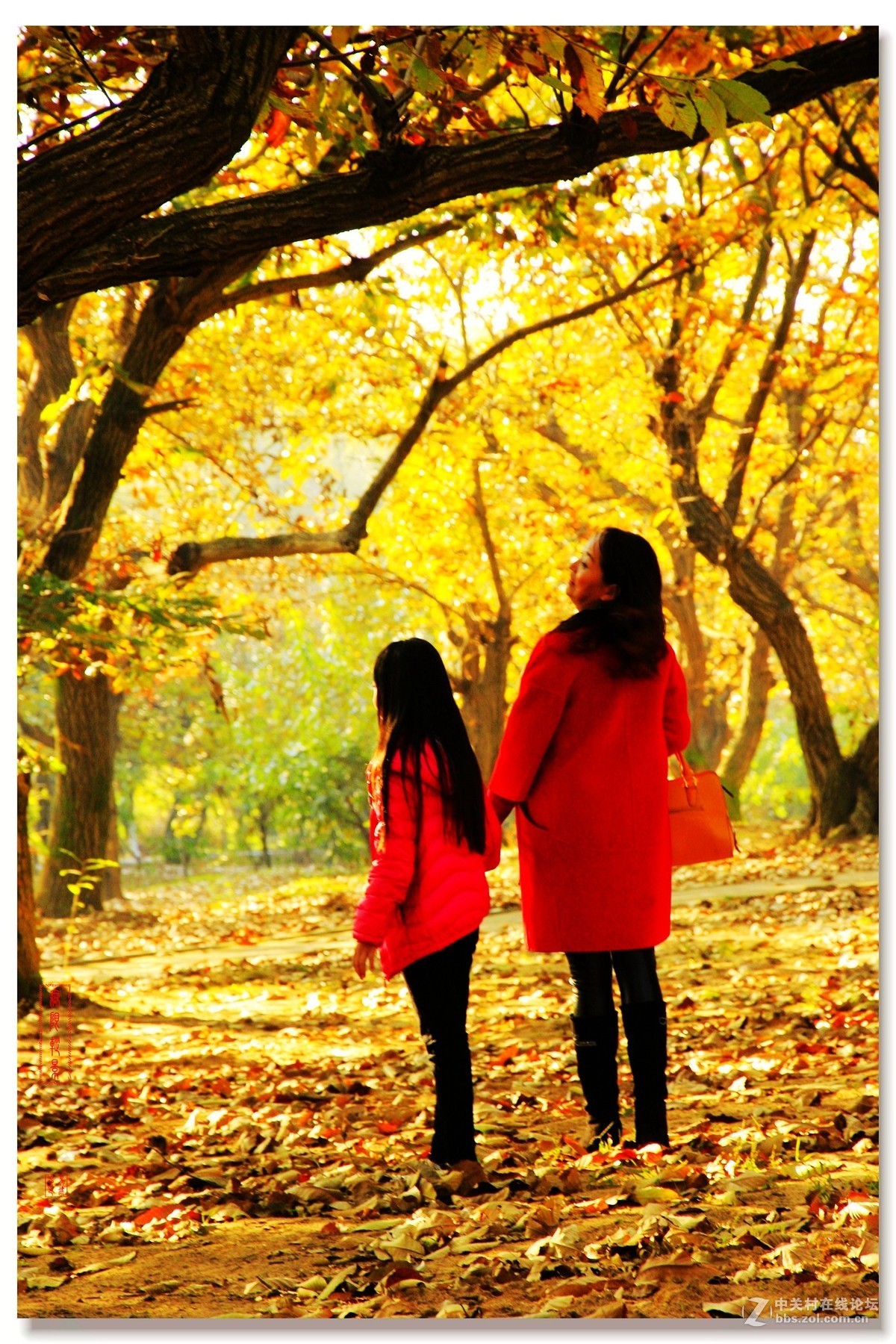 #佳能月赛-一叶知秋#邳州板粟树下母女俩