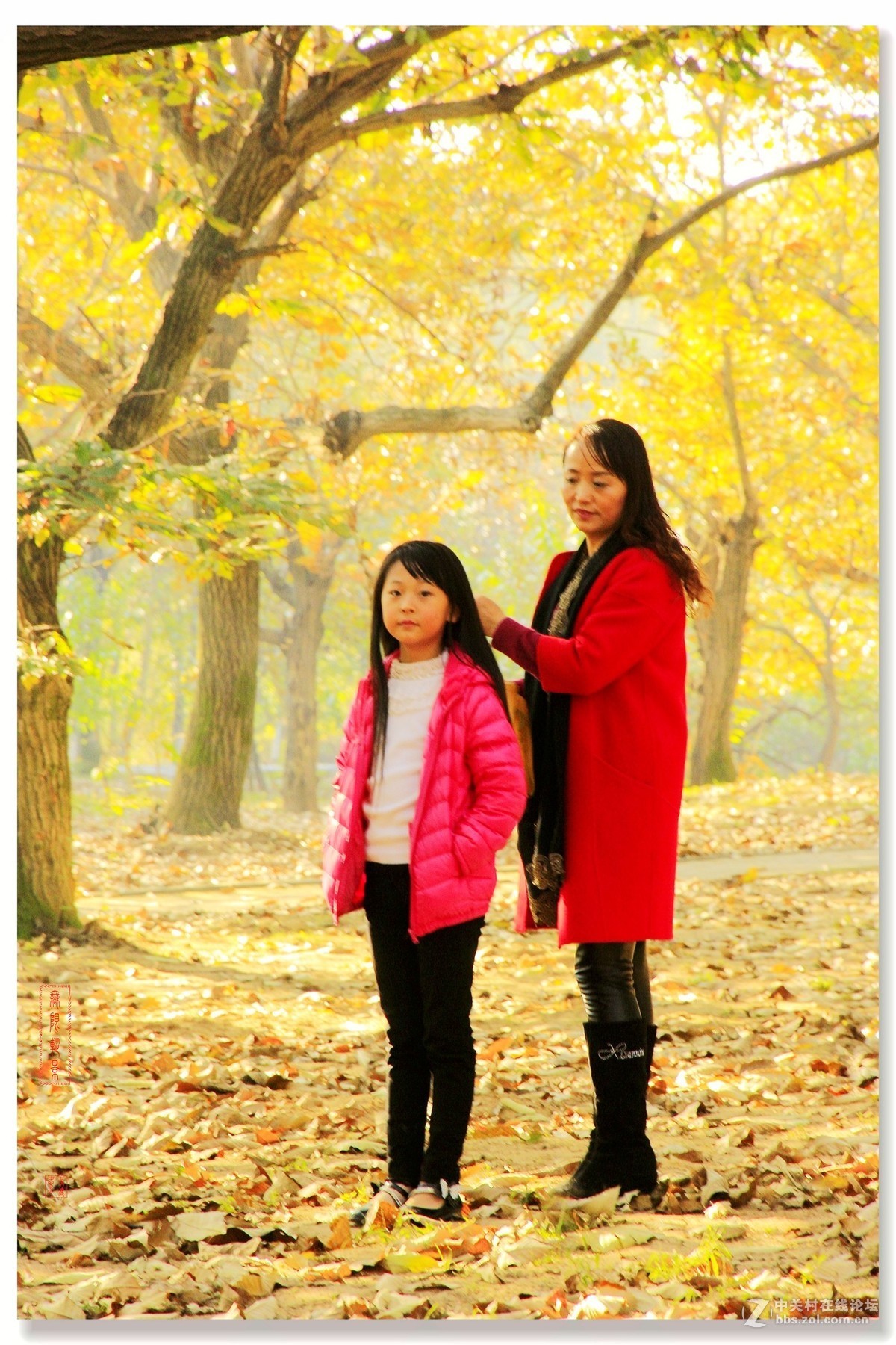 #佳能月赛-一叶知秋#邳州板粟树下母女俩