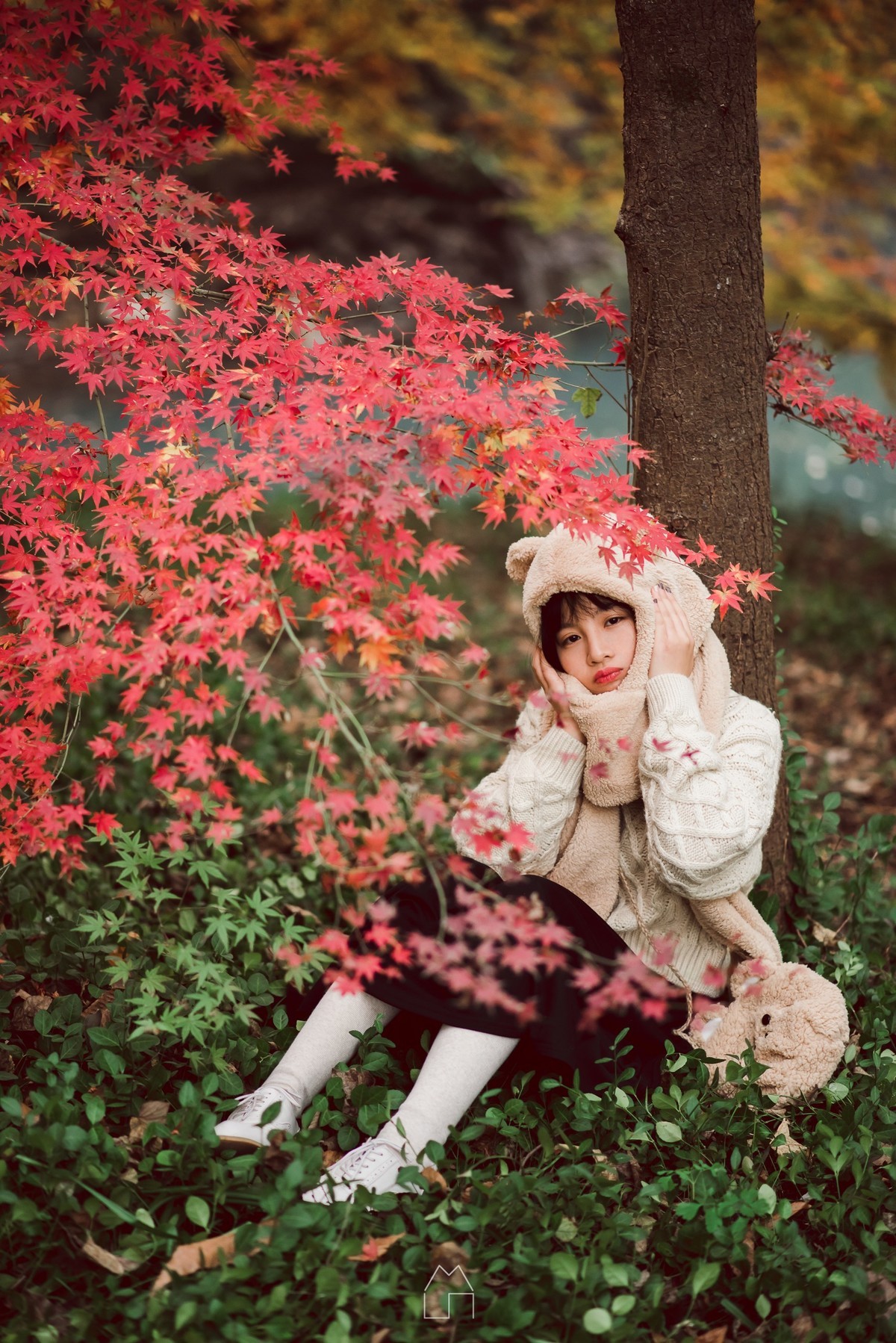 「熊出没」红叶枫了