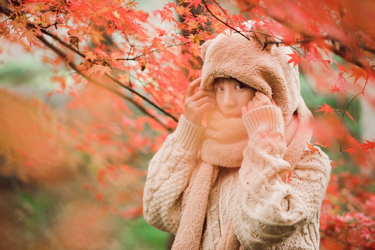 「熊出没」红叶枫了