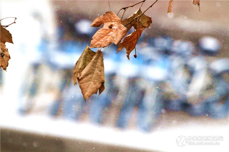 2019.1.9.洛阳印象