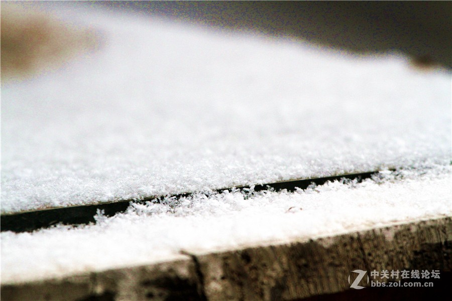 2019.1.9.洛阳印象