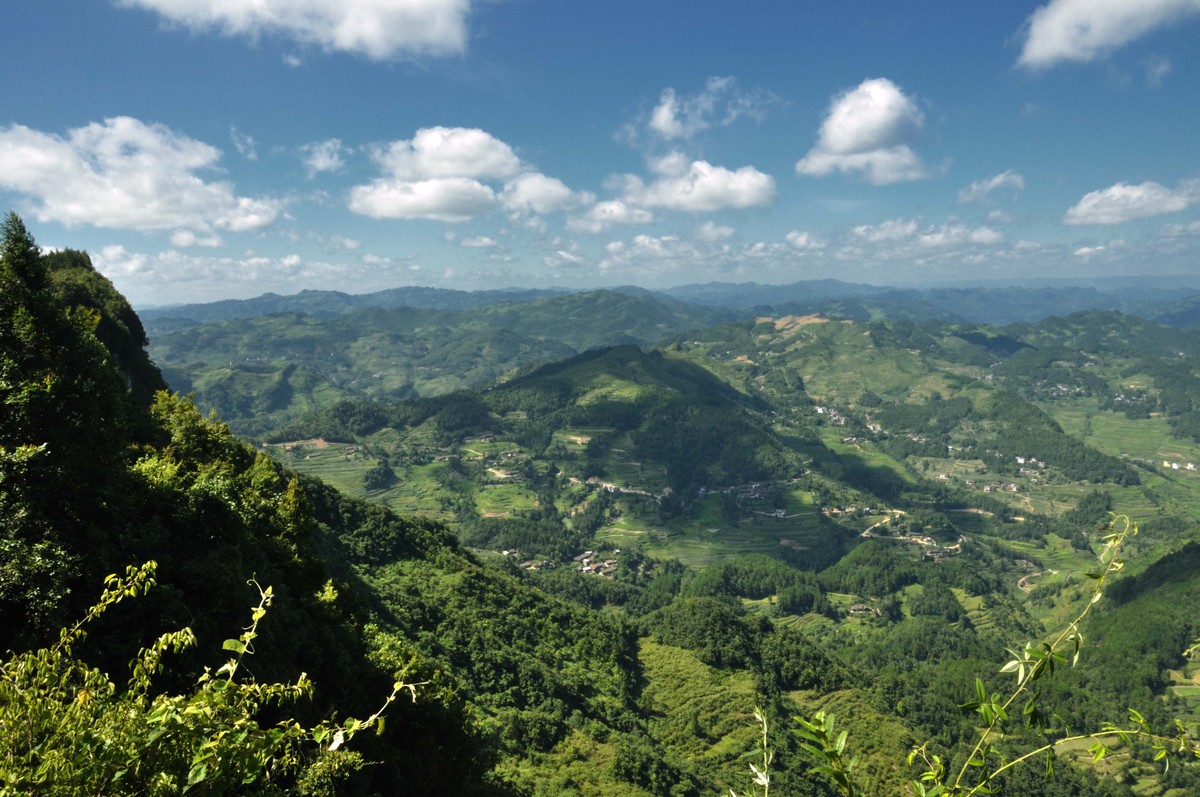 彭水石盘乡避暑拍的片片