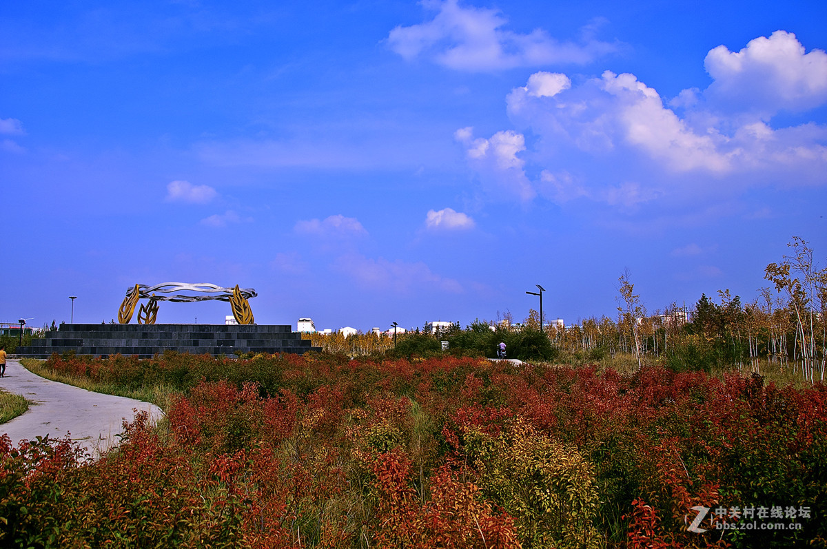 坝上行-------草原记忆