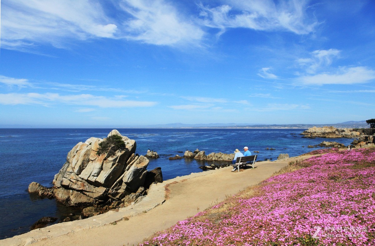 蒙特利海湾美国5