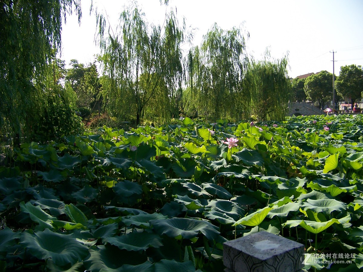 经典的z612