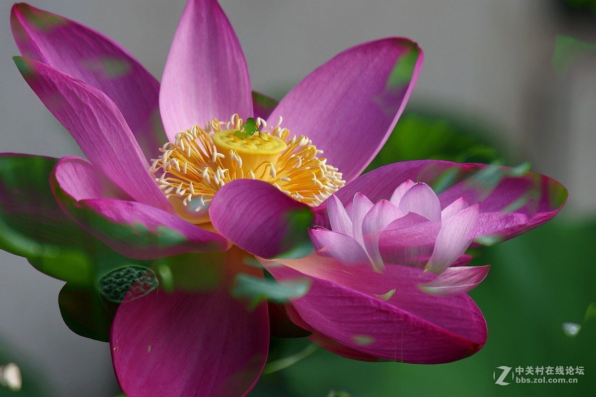 #版主坐堂# 【南京星空(中国)】2016年7月部分优秀作品欣赏