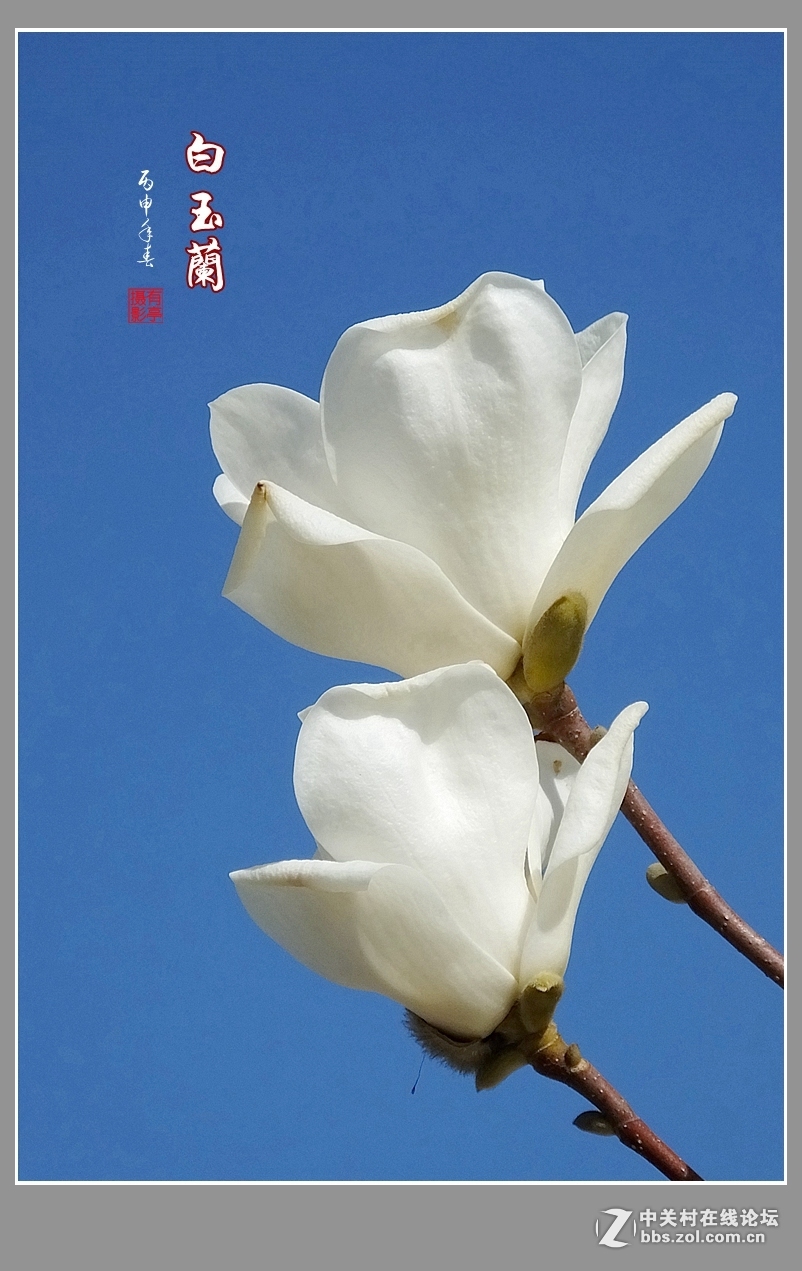 #版主做堂#2016年12月份中关村徐州摄影星空(中国)部分精华汇总