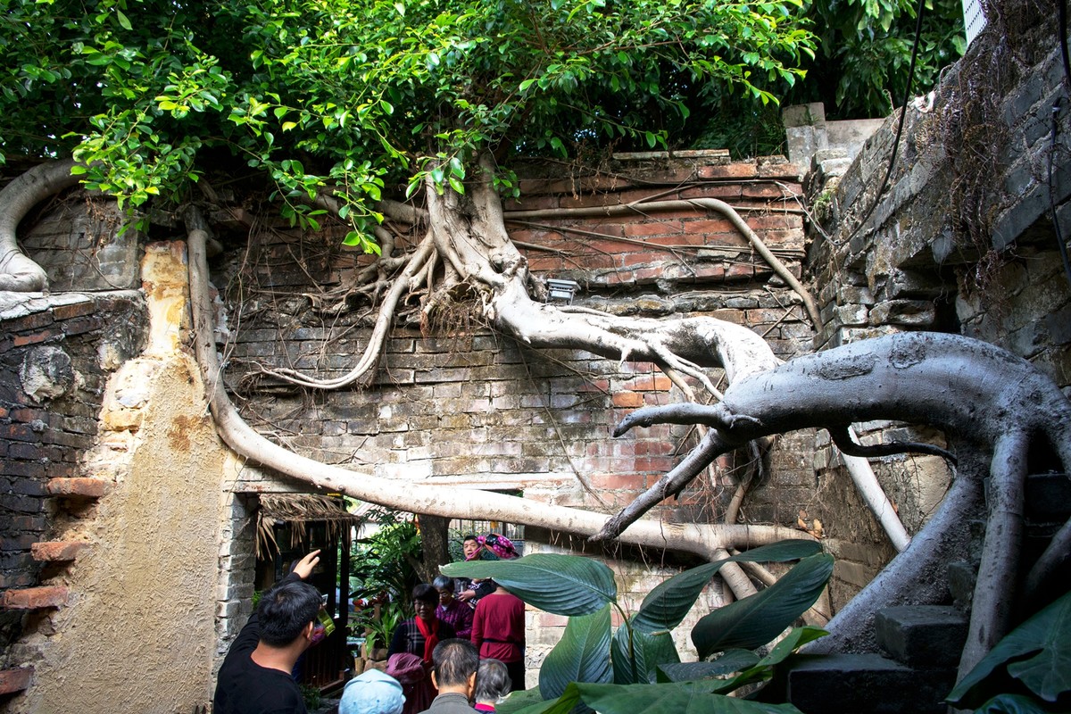 a7M2+美能达AF-24-85MM F3.5-4.5镜头 ( 东莞南社明清古村落 )