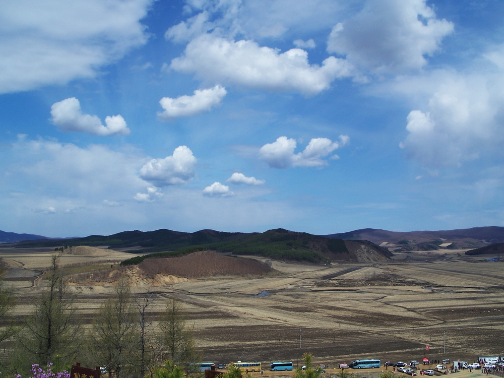 漫山遍野金达莱