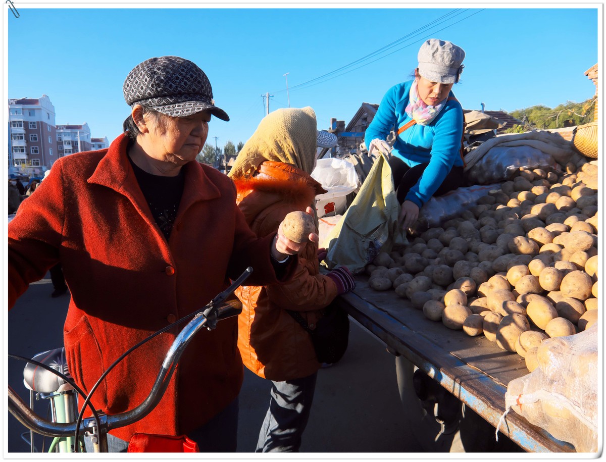 中秋节前，冬储土豆上市了。