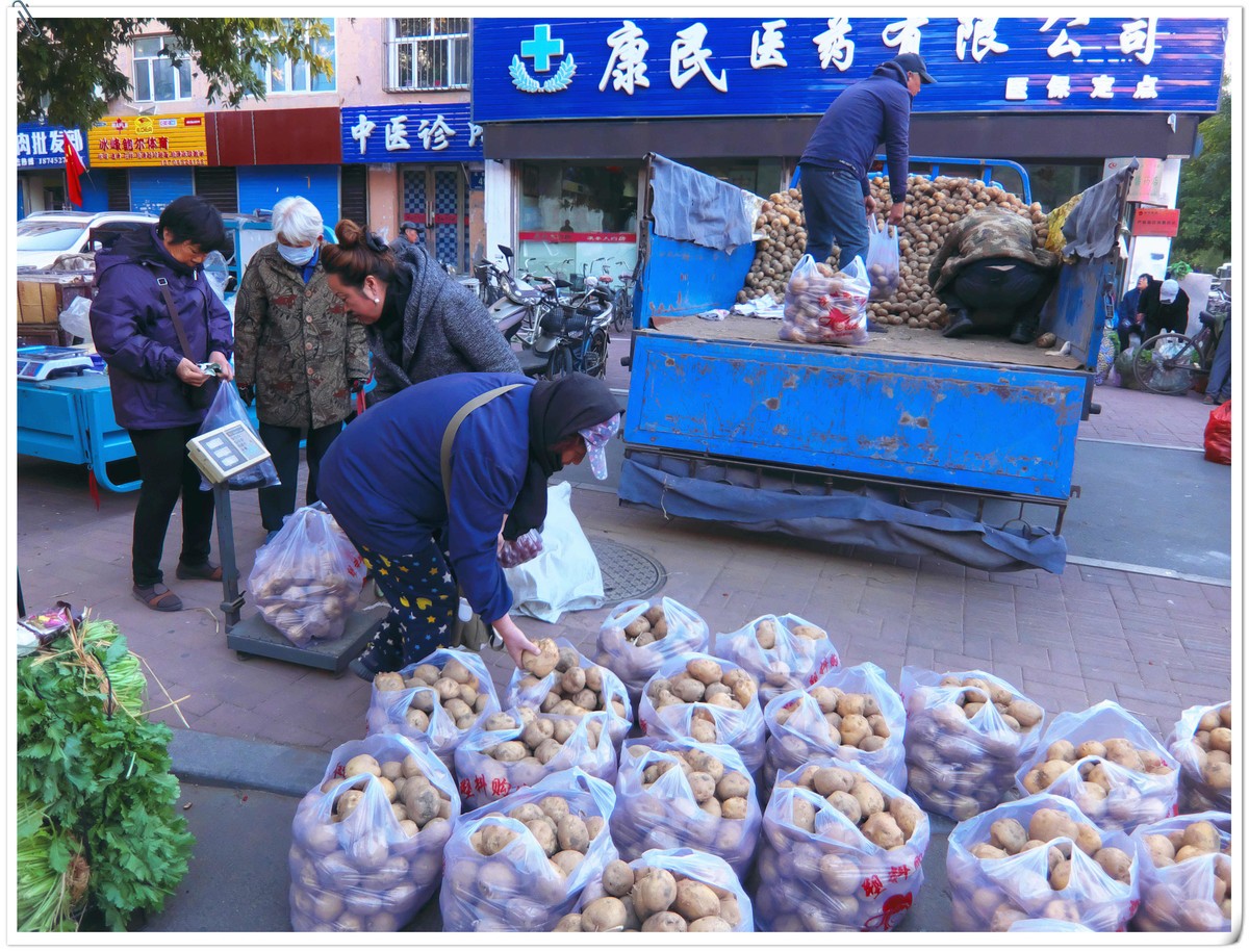 中秋节前，冬储土豆上市了。