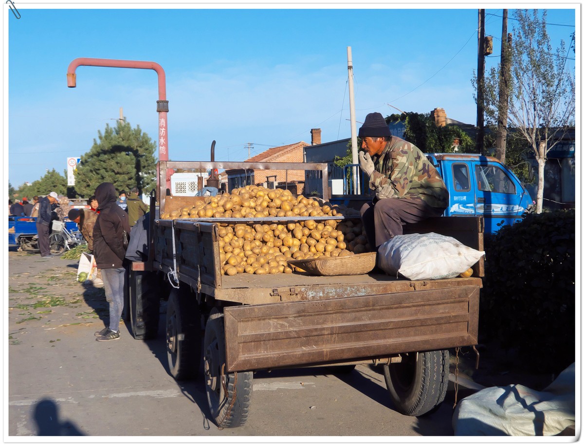 中秋节前，冬储土豆上市了。