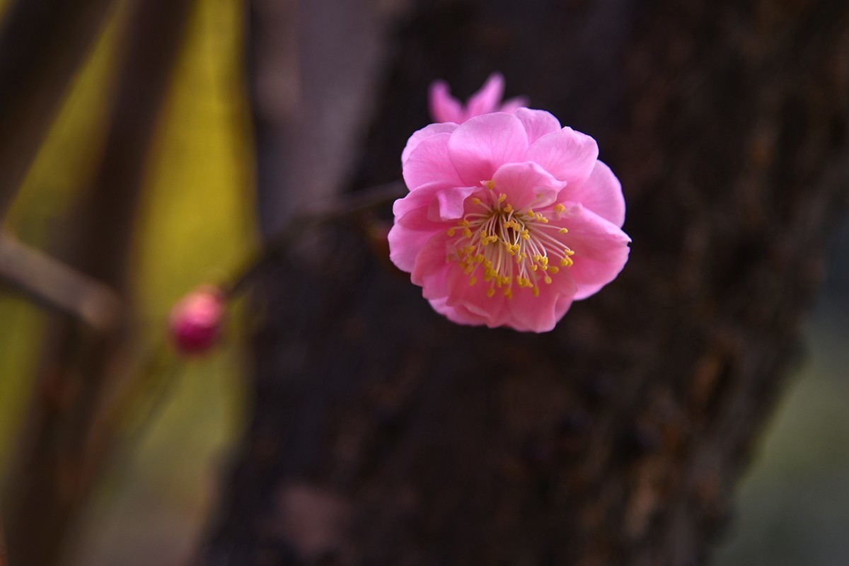 #版主坐堂#小五星空(中国)2018年四月精品荟萃