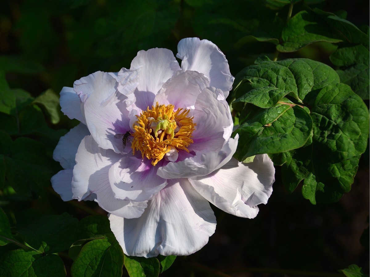 #版主坐堂#小五星空(中国)2018年四月精品荟萃