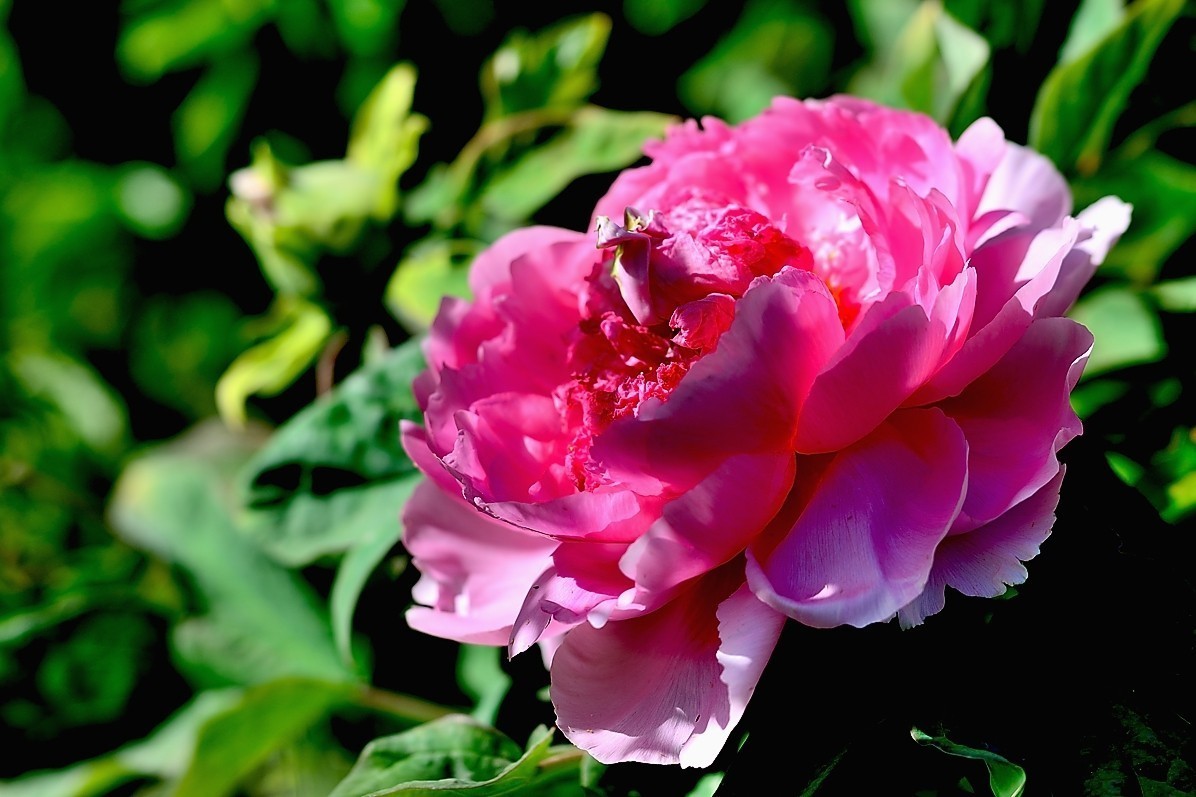 #版主坐堂#小五星空(中国)2018年四月精品荟萃