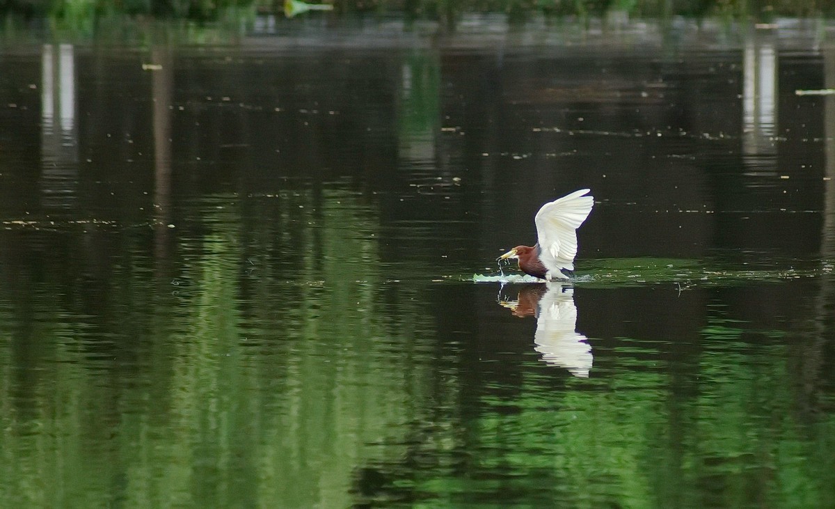 #版主坐堂#小五星空(中国)2018年四月精品荟萃