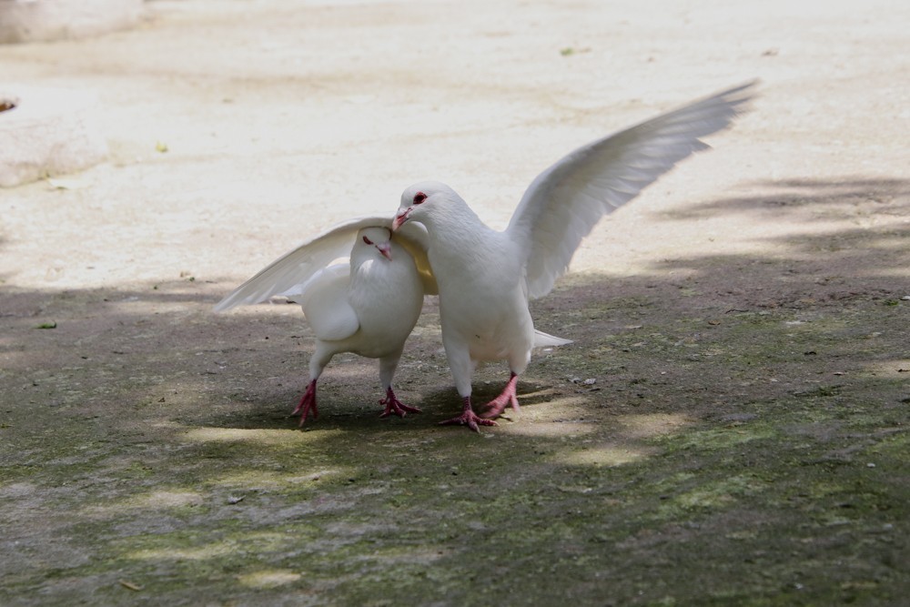 #版主坐堂#小五星空(中国)2018年四月精品荟萃
